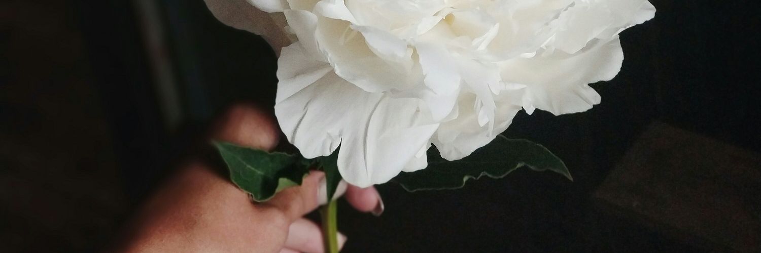 riaale_'s profile banner image