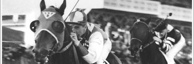 seabiscuit banner