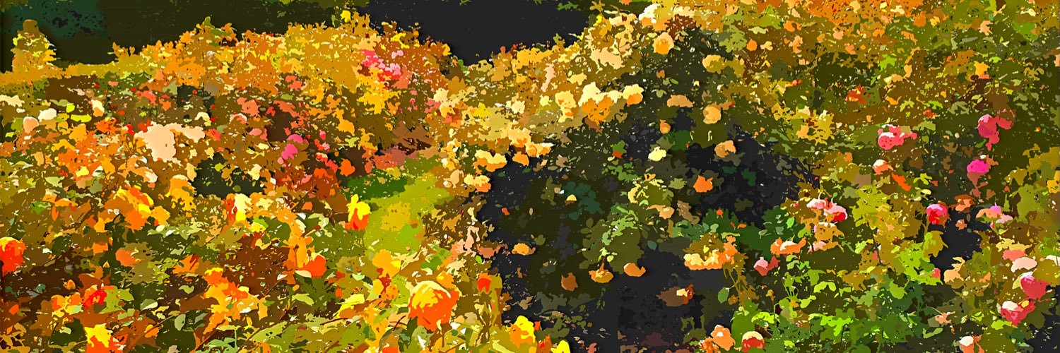johnebishop's profile banner image