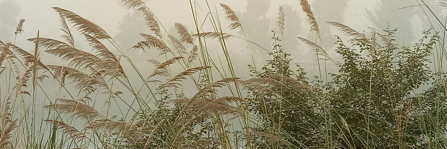 Imdad Ali Soomro's banner