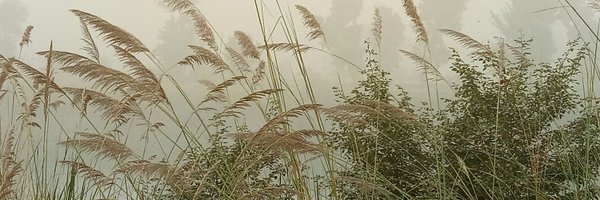 imdad_soomro Profile Banner