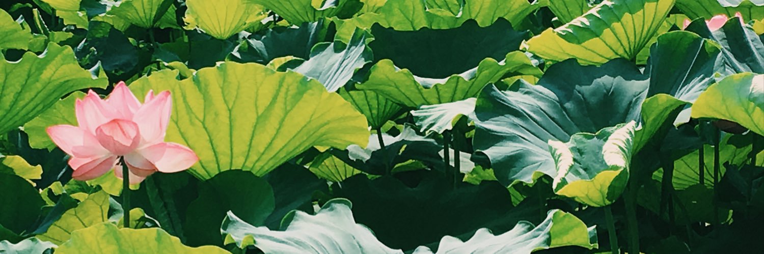 tkaonui's profile banner image