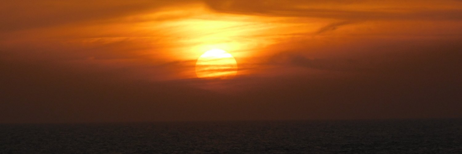SherylAnnRay's profile banner image