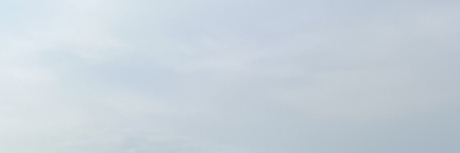 LimBeer banner