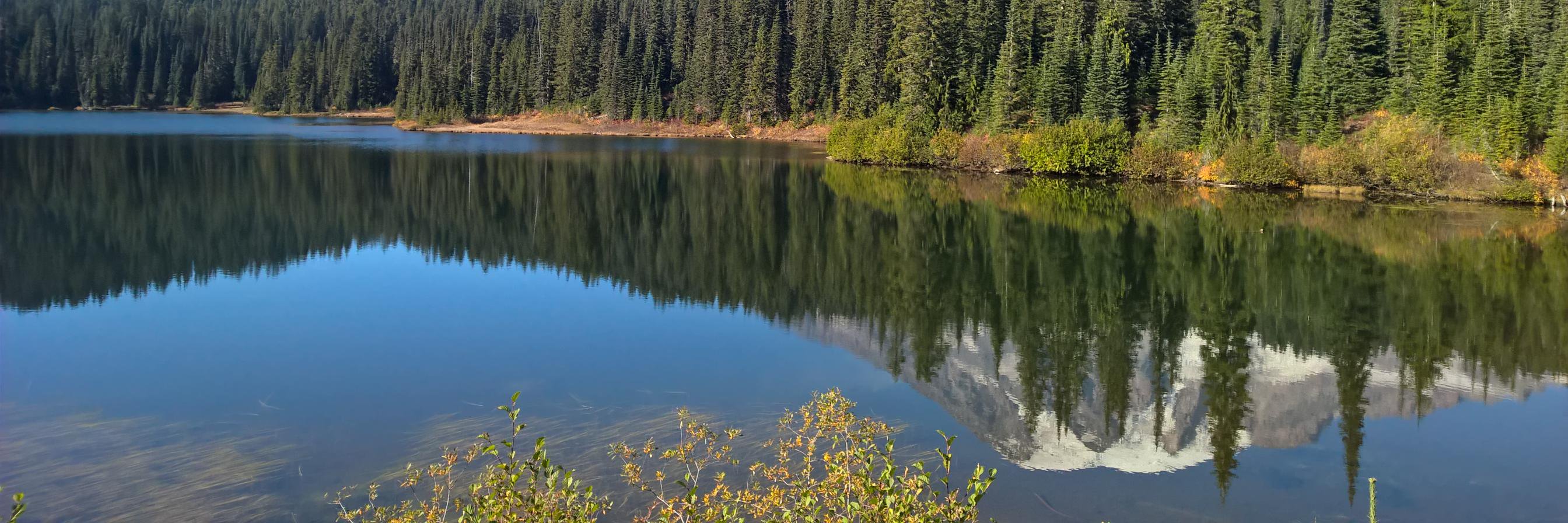 Marco D'Angelo banner