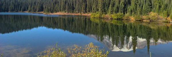 marcodangelo Profile Banner