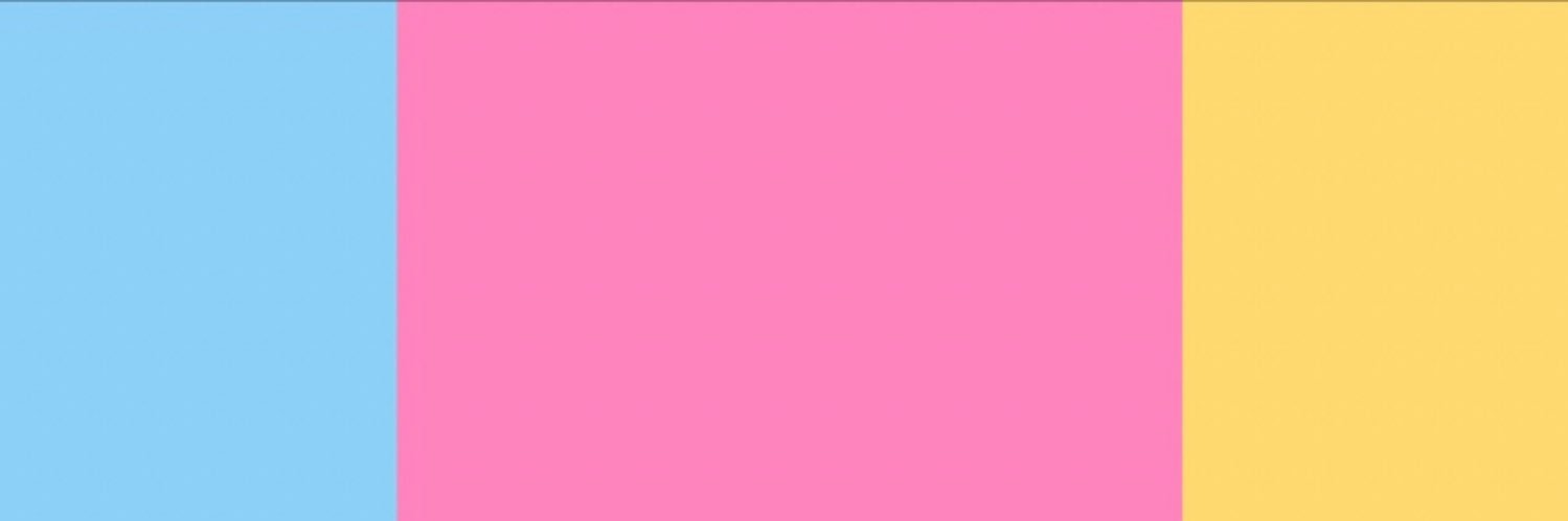 erikaraphaela's profile banner image