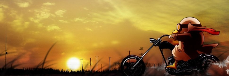 0xLotta's profile banner image
