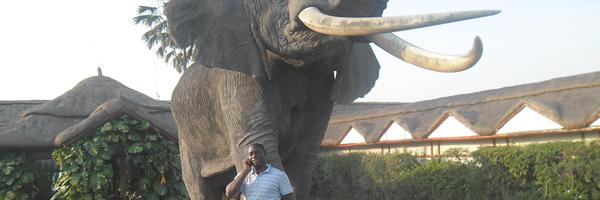 mujudata Profile Banner