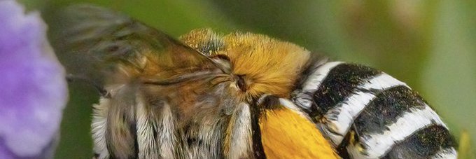 isabelafrod's profile banner image