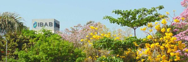 official_ibab Profile Banner
