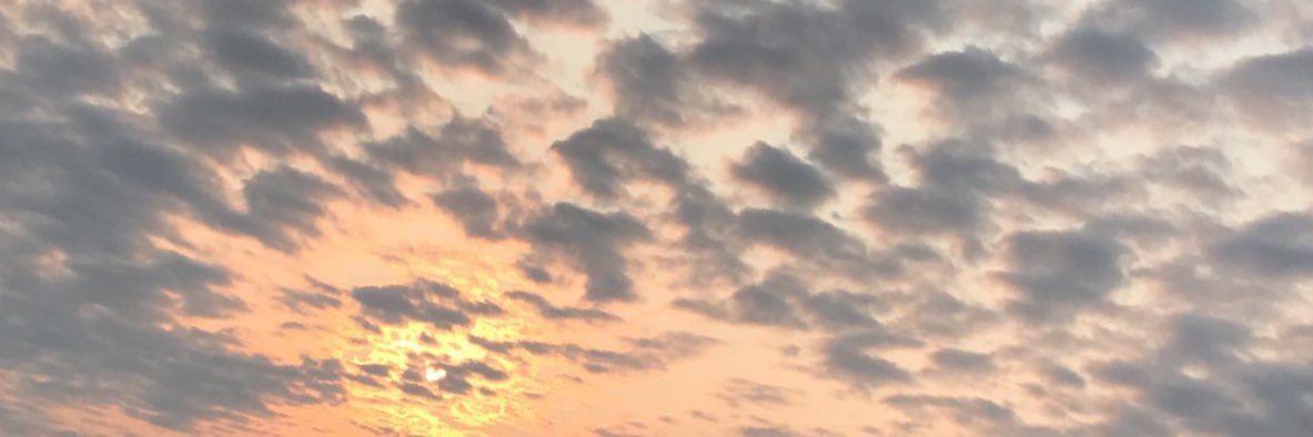 BrandonReed61's profile banner image