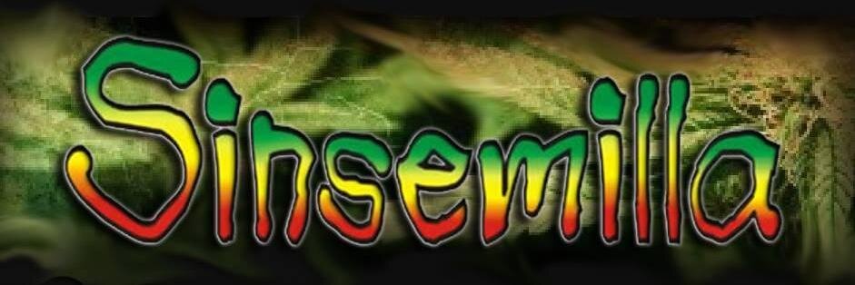 alesinse's profile banner image