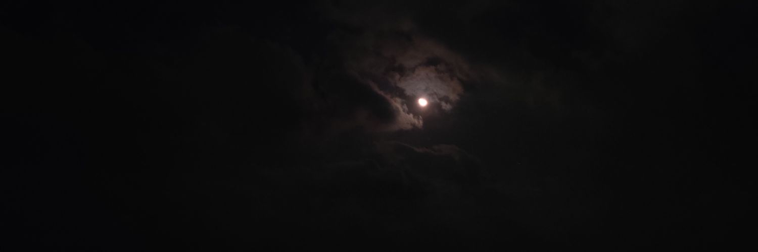 dumbest_dumbo's profile banner image
