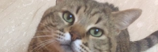 PinodAndrea's profile banner image