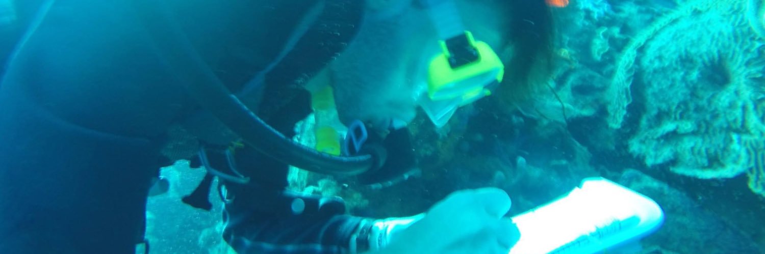 Mark A. Gattozzi banner