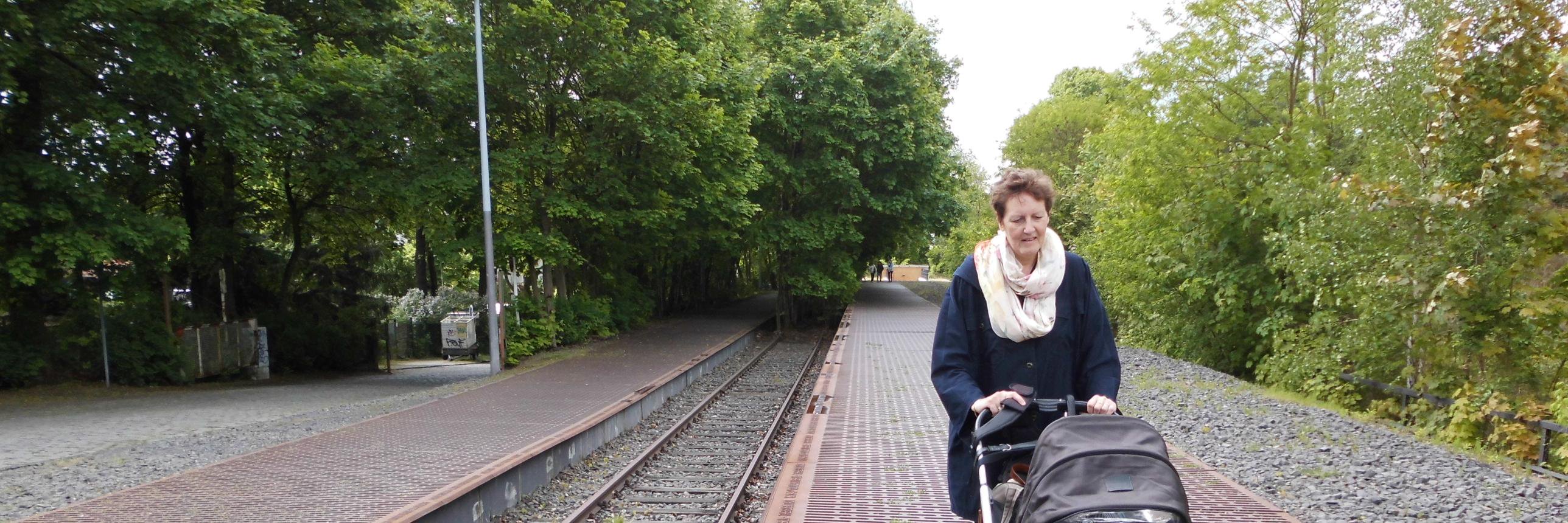 elsjedewilde's profile banner image