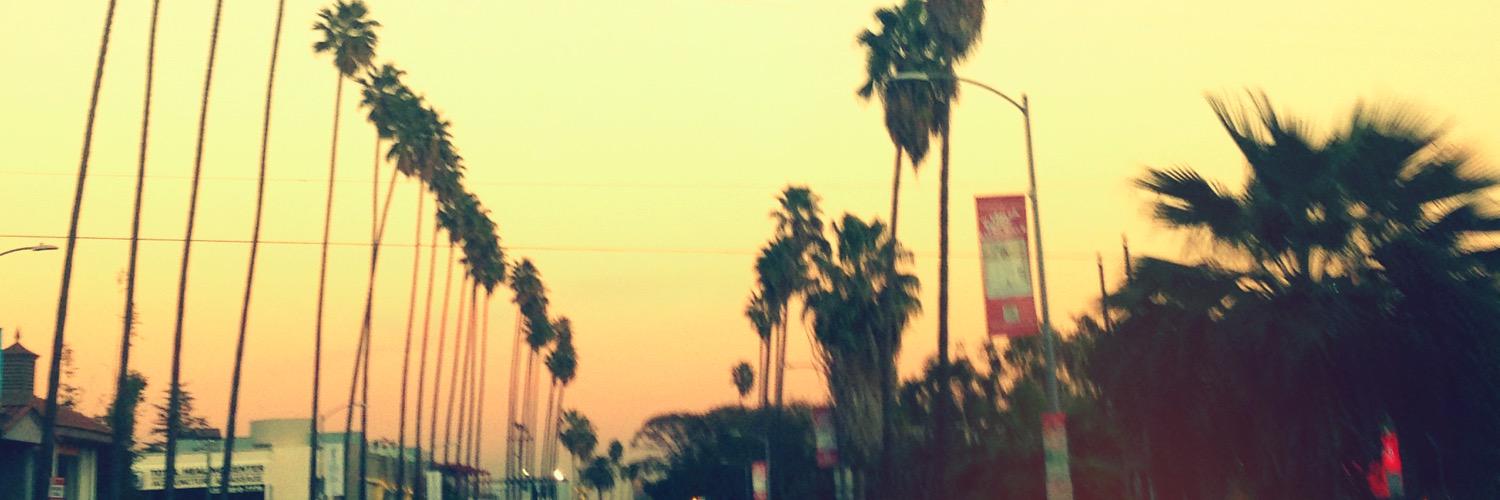carolchitto's profile banner image