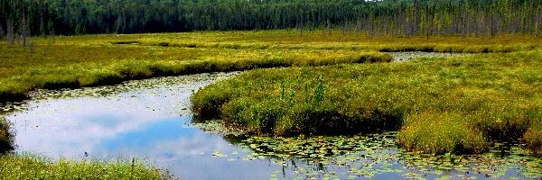CleanWaterACWA's profile banner image