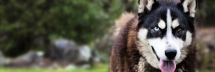 robby_burwash's profile banner image