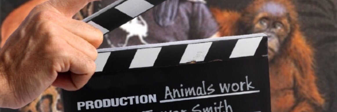 animalswork's profile banner image