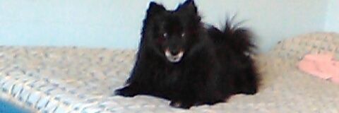 rociio_lomas's profile banner image