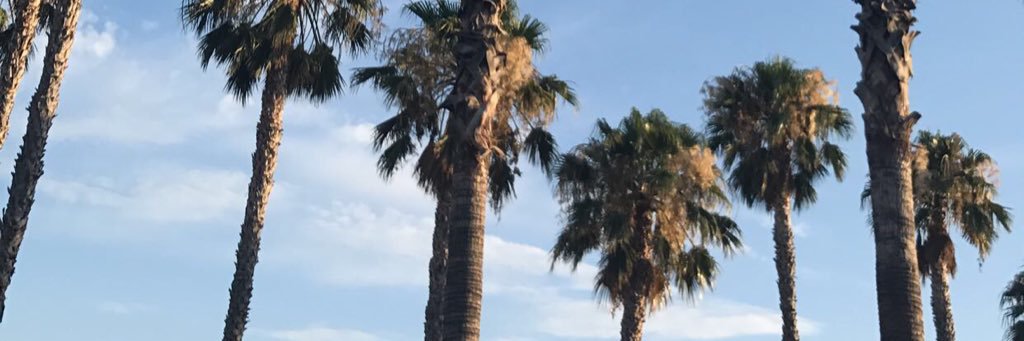 bbrittanyrosee's profile banner image