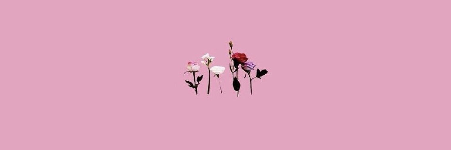 RoseMcbride_'s profile banner image