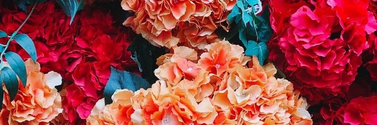 LeahLou_2's profile banner image