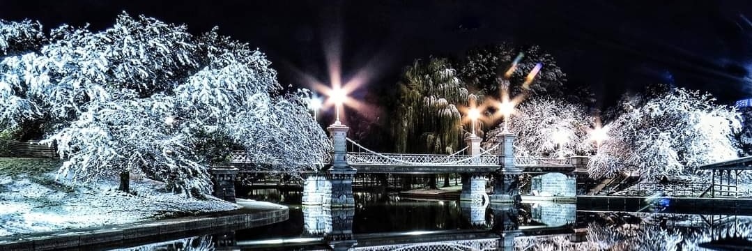 Barbed Wires 🥂🎊🎉 banner