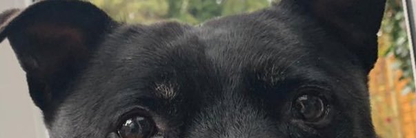 andygmatt's profile banner image