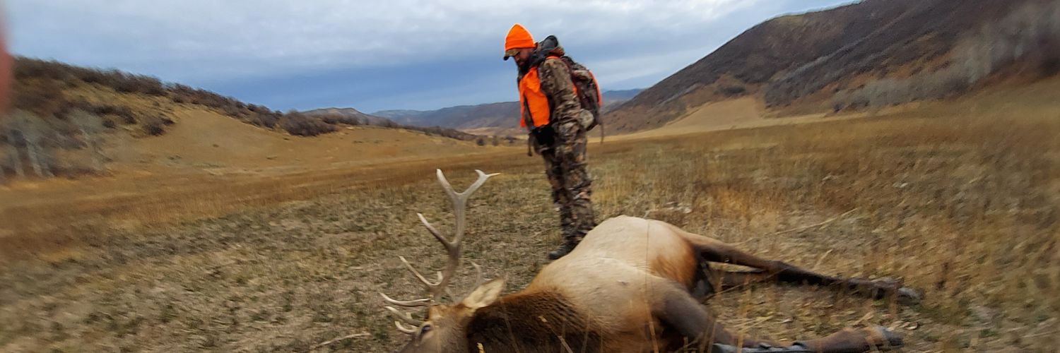 TheMiddletaur's profile banner image