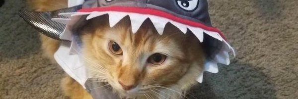 gabusaur_ Profile Banner