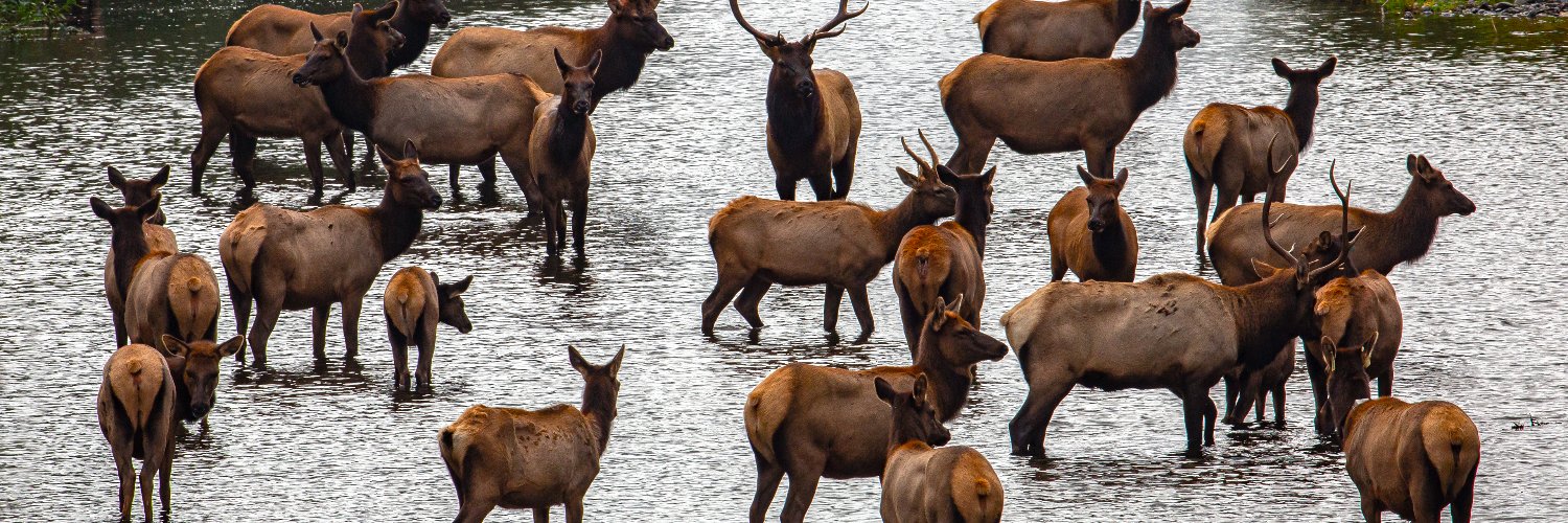 California Department of Fish and Wildlife banner