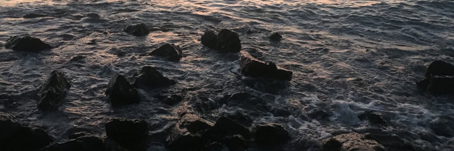 smashed_lemons's profile banner image