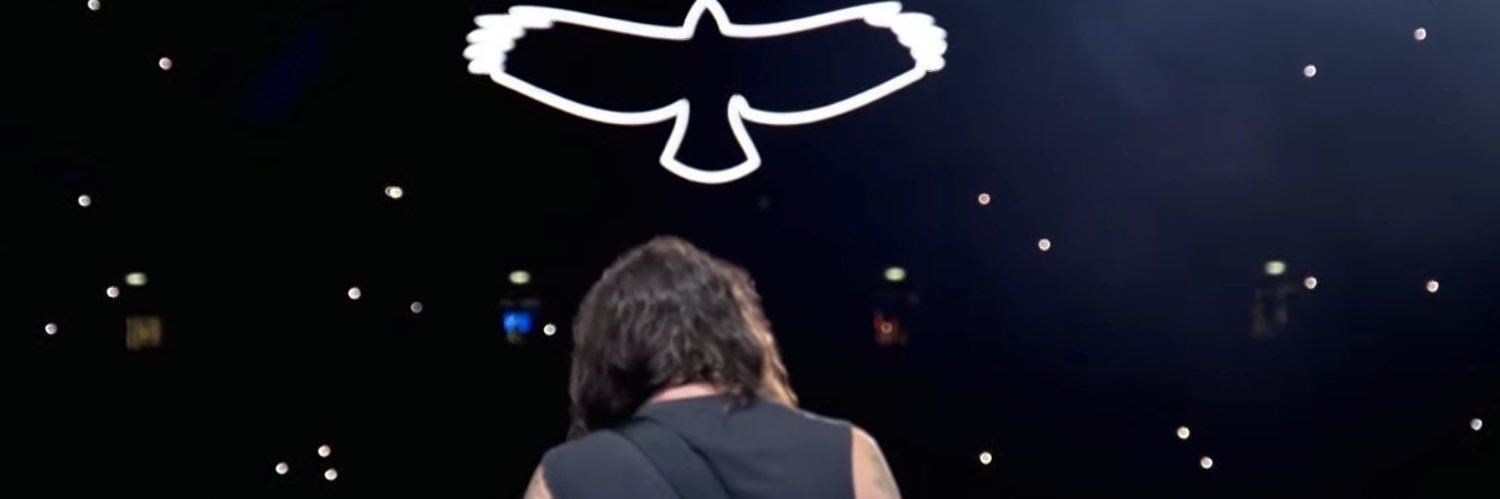 lulifalcon's profile banner image