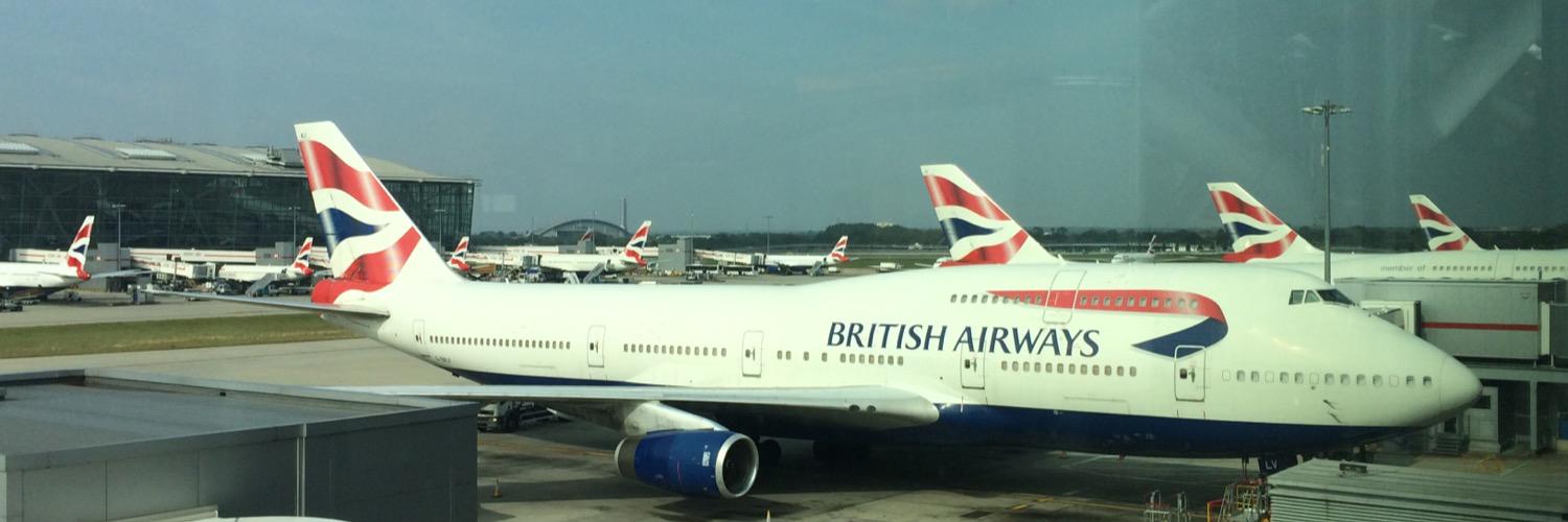 kimitaro 🐕‍🦺 banner