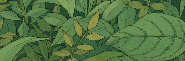 abbymorandi's profile banner image