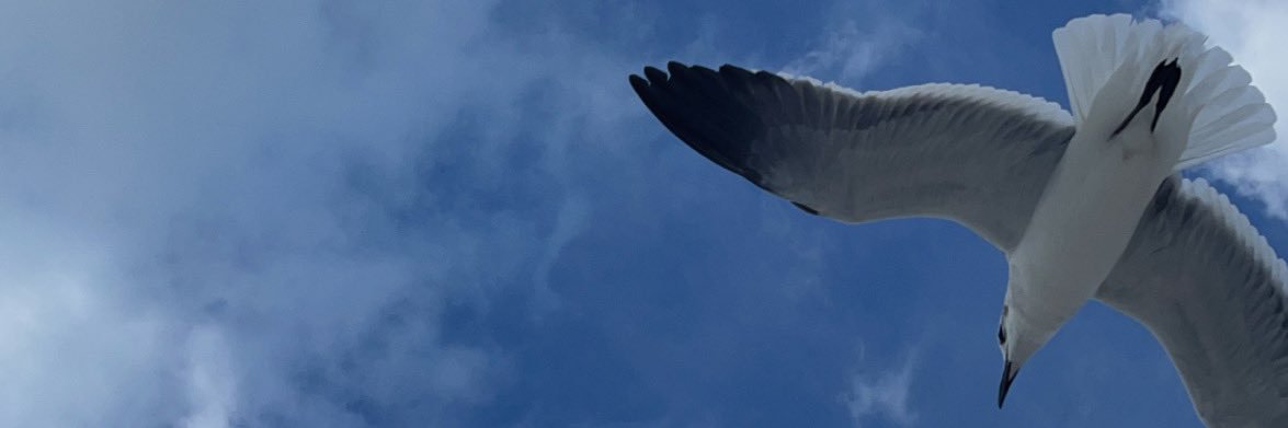 TaylorBaith's profile banner image