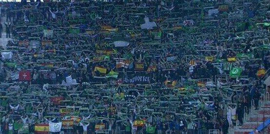 kiskovera's profile banner image