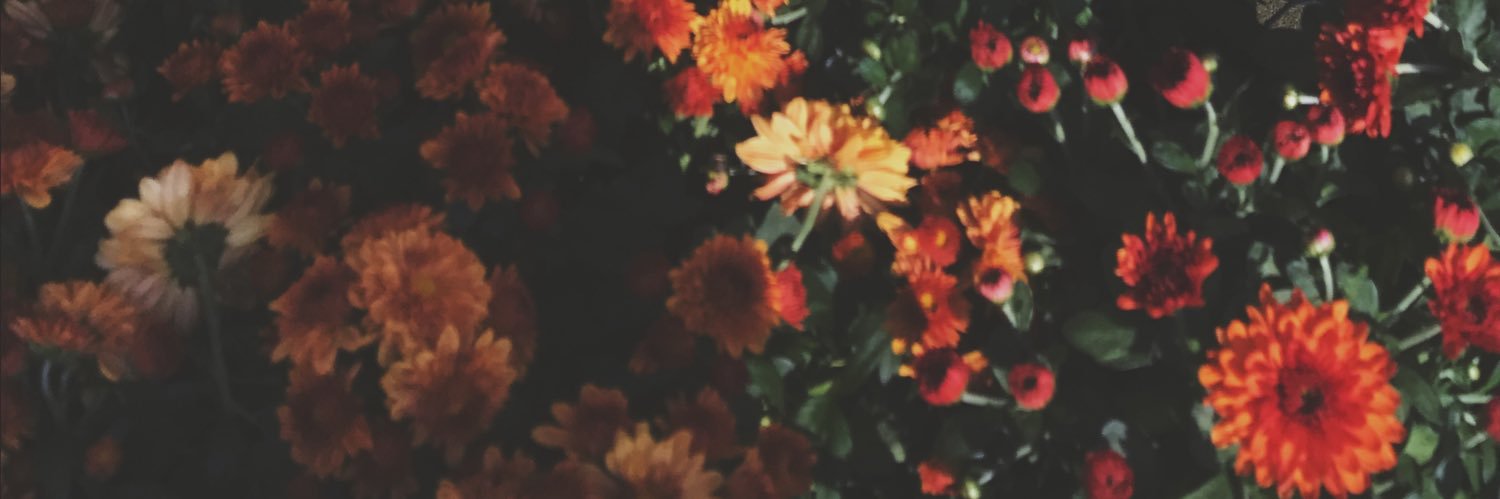 lolzitsdani's profile banner image