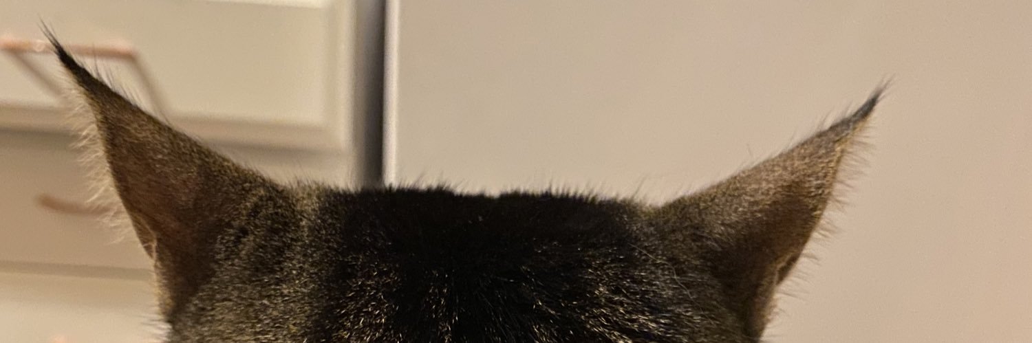 leko95's profile banner image