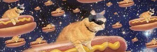 athilalacerda's profile banner image