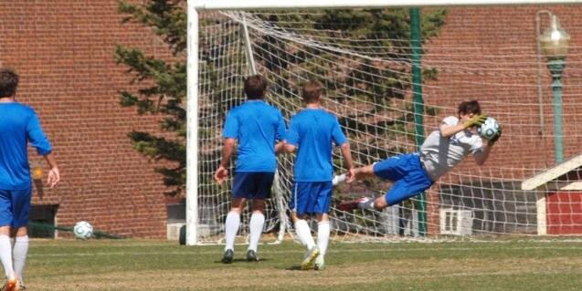 Trevor Shepherd banner