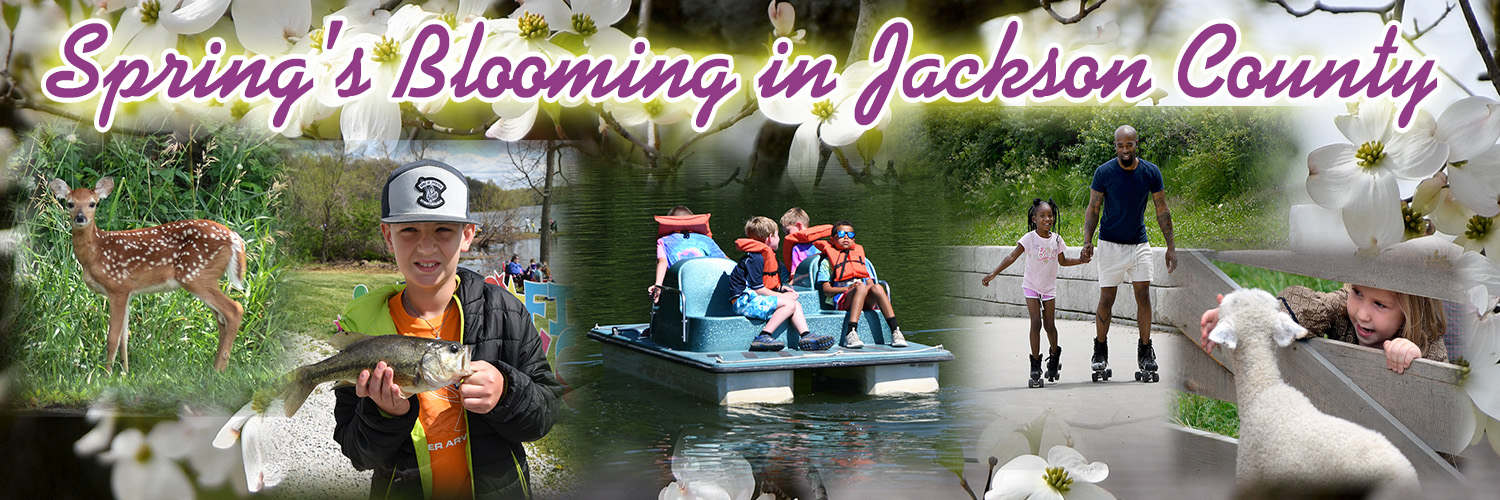 Jackson County MO banner