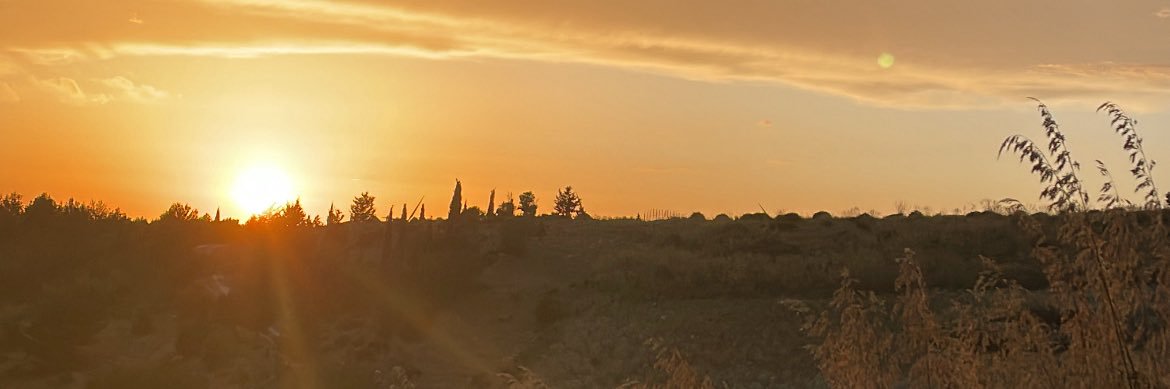 FraLandolina's profile banner image