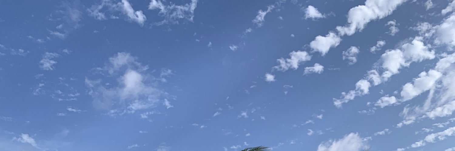 Trulytayanna's profile banner image