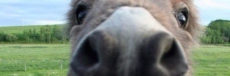bituronazezino's profile banner image