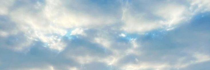 softbabystyles's profile banner image