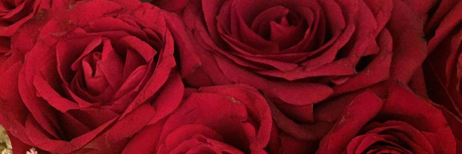 khadeja999's profile banner image